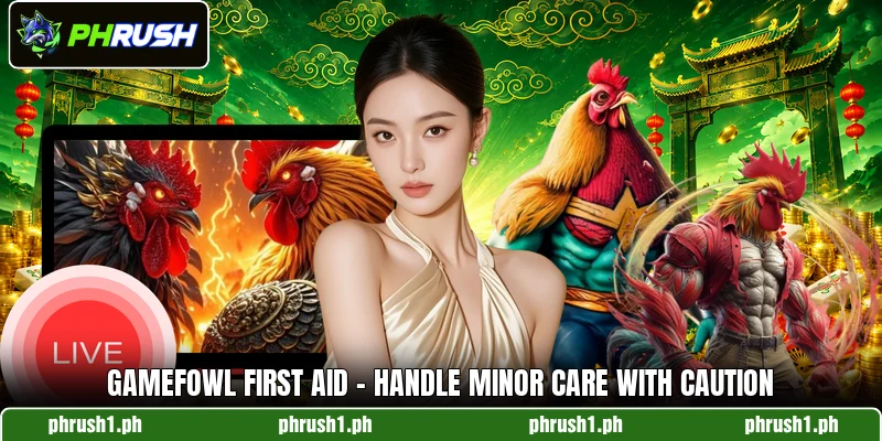 Gamefowl First Aid - Handle Minor Care With Caution