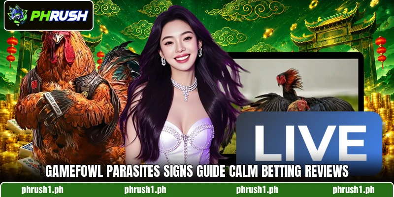 Gamefowl Parasites signs guide calm betting reviews Gamefowl Parasites signs guide calm betting reviews
