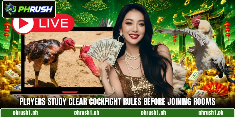 Players study clear cockfight rules before joining rooms