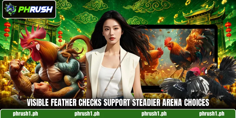 Visible feather checks support steadier arena choices Visible feather checks support steadier arena choices